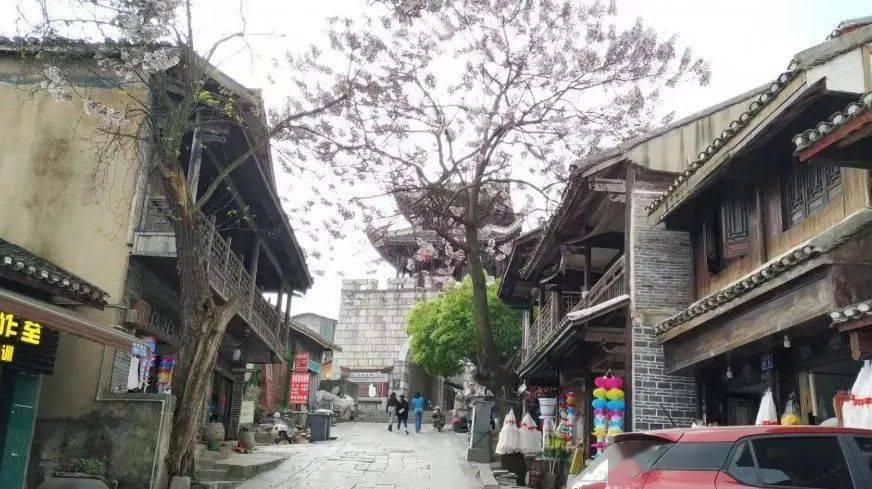 救援深海动物