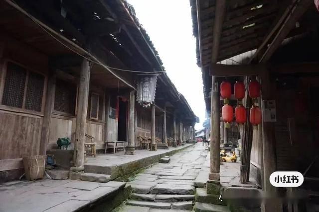 胡可带儿子度假,13岁安吉变氛围感帅哥,鱼儿获赞会逆袭成都敏俊